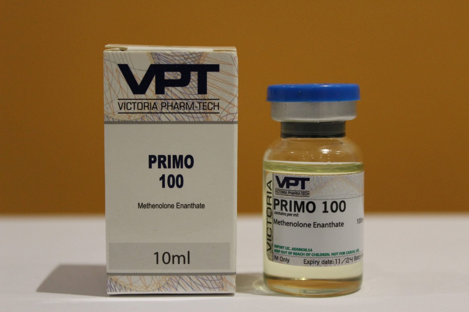 VPT_Primo-scaled-1.jpg